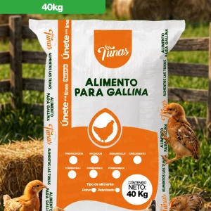 Gallina Iniciador